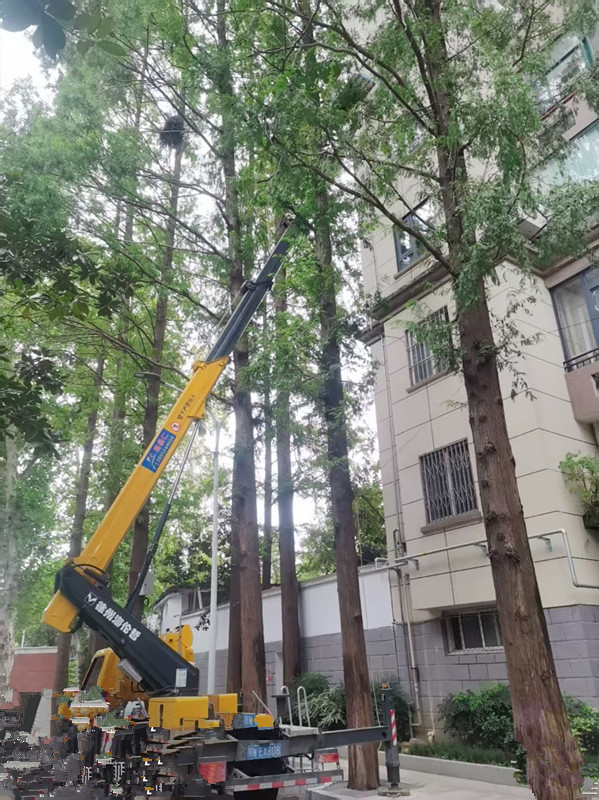 微信圖片_20250919141243_117_14.jpg 微信圖片_20250919141243_117_14.jpg